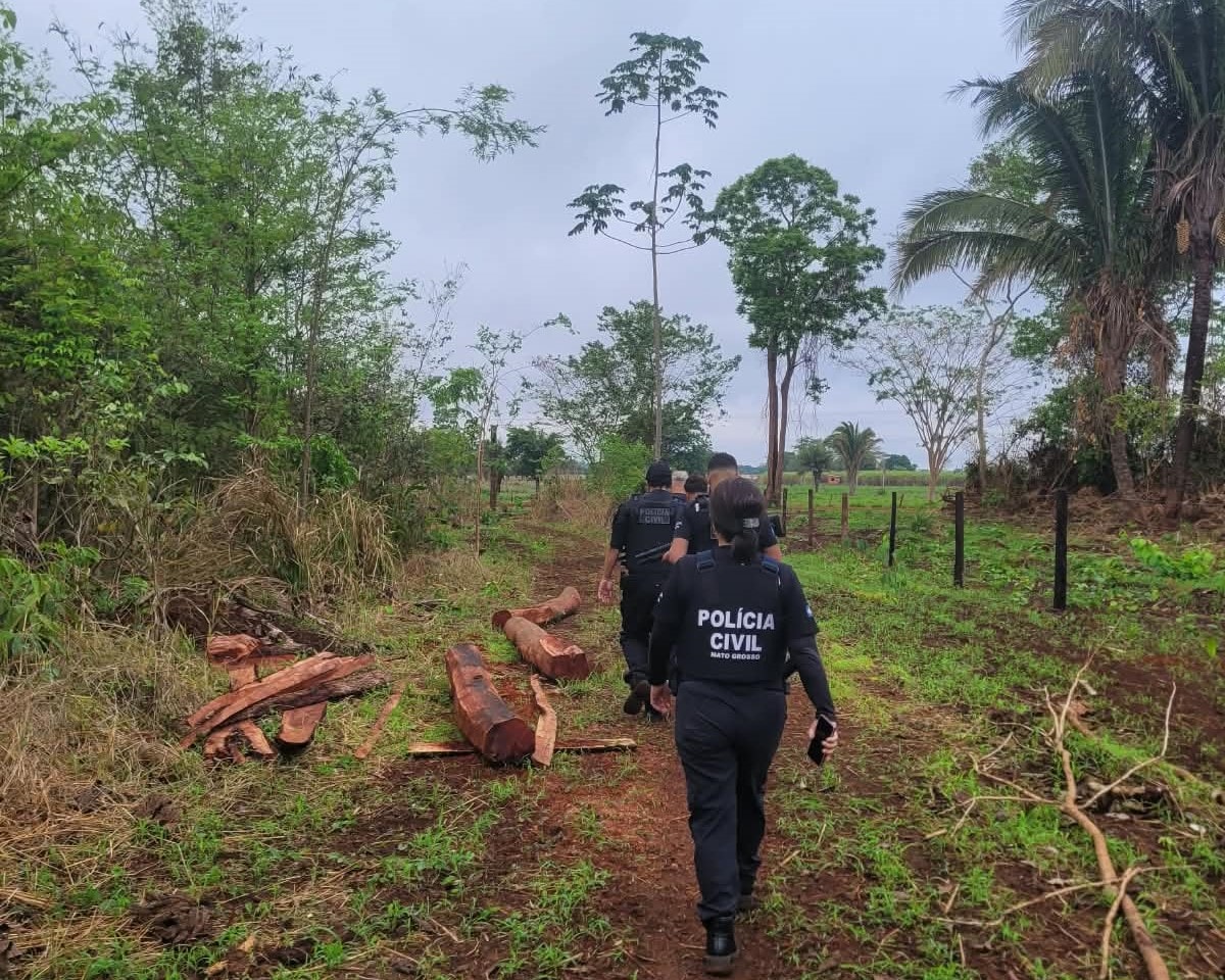 Polícia Civil MT