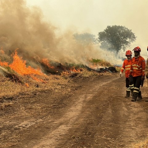 Queimadas. Agosto é um mês em que se deve ficar em alerta