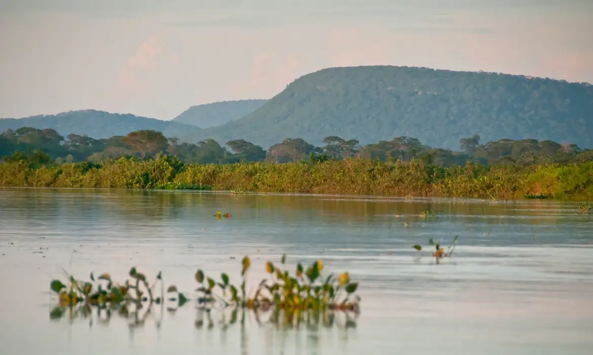 Foto: Agência Brasil/EBC