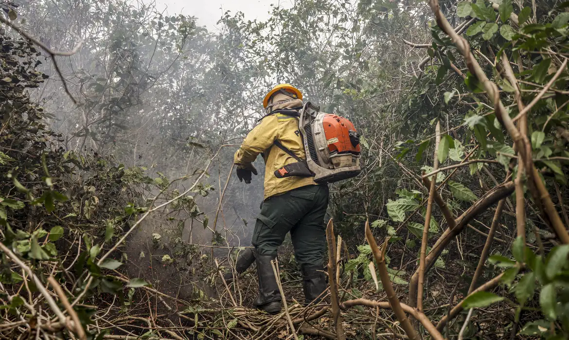 Foto: Agência Brasil/EBC