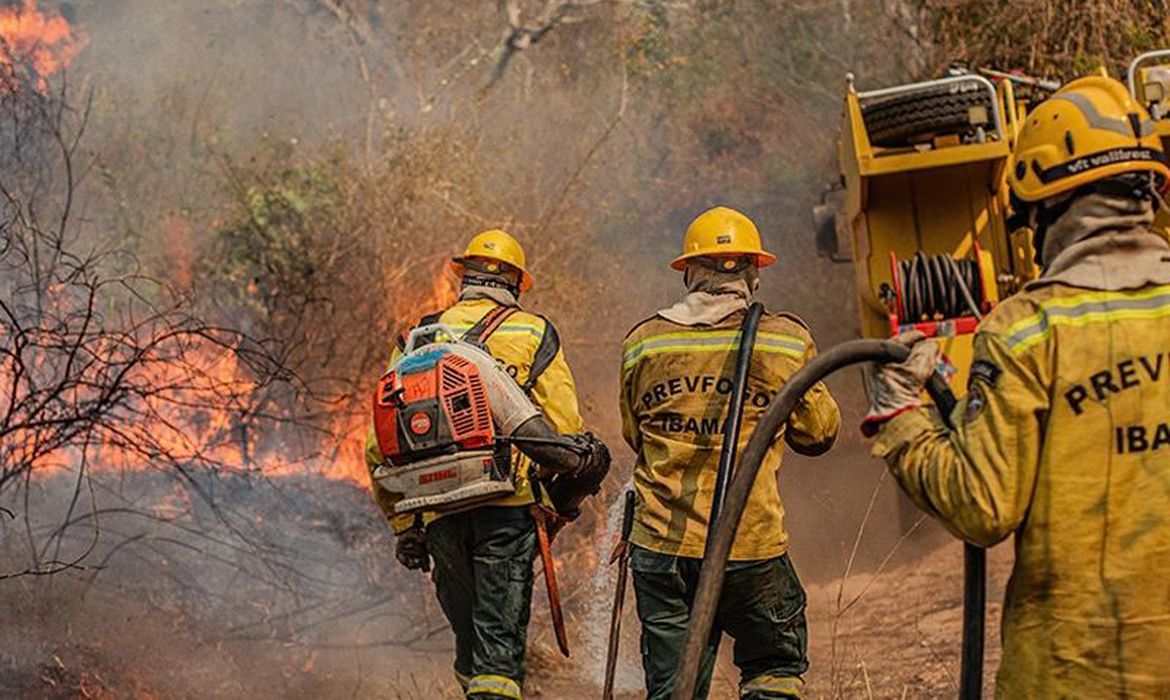 Foto: Agência Brasil/EBC