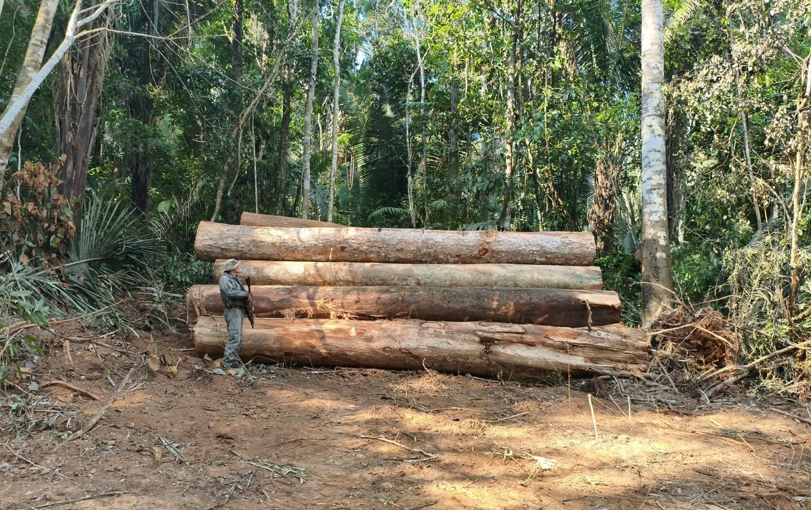 CRIME AMBIENTAL