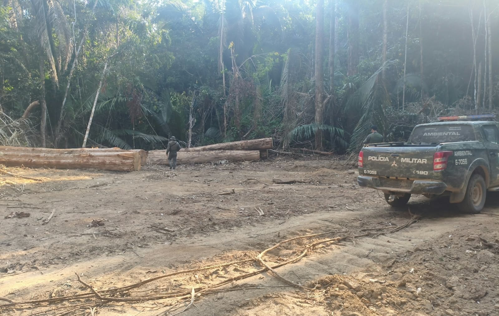 CRIME AMBIENTAL
