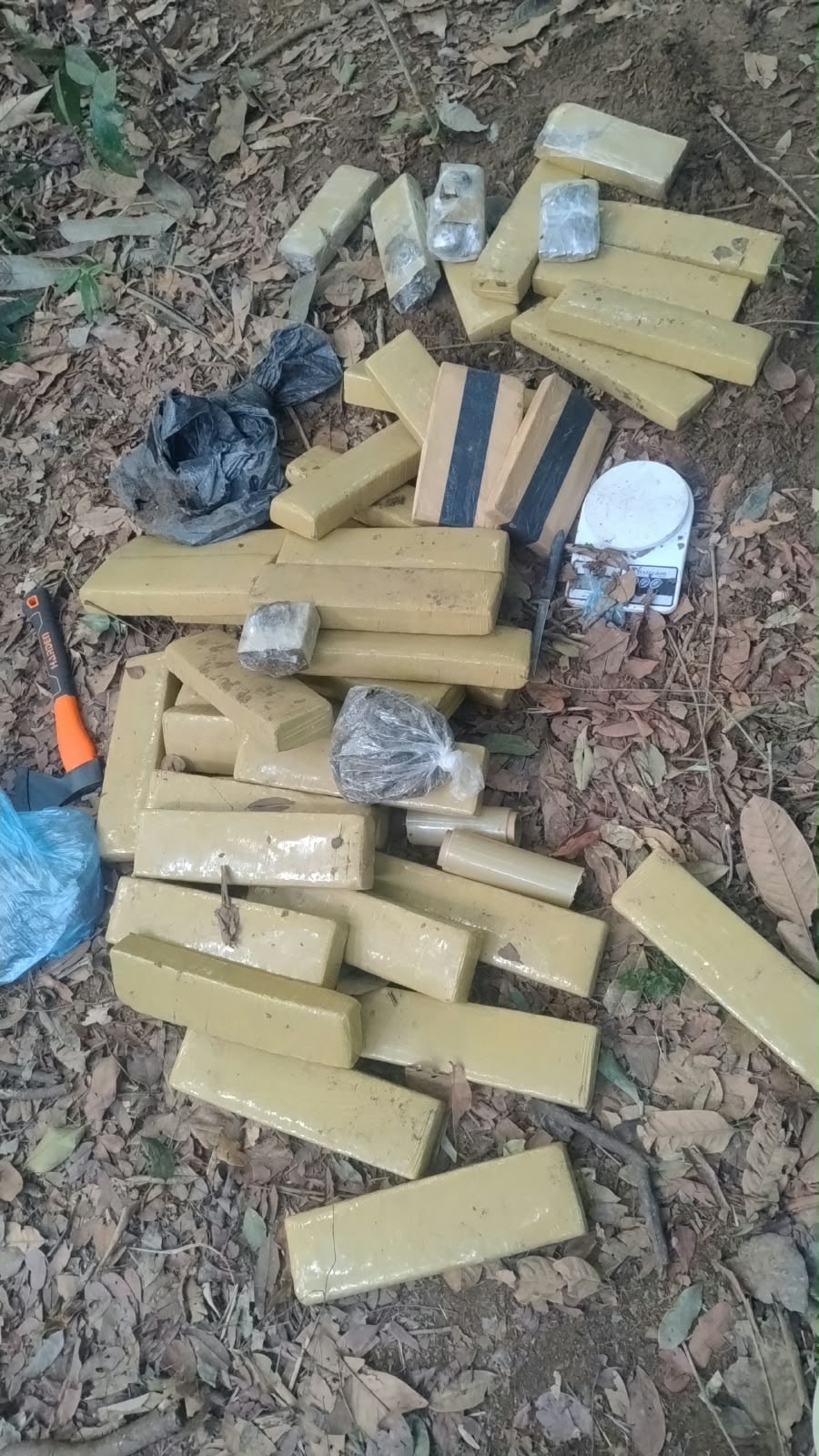 Foto: Polícia Civil MT