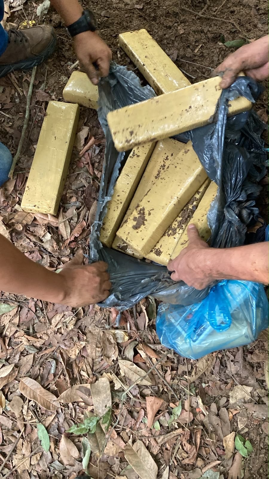 40 Kg de drogas é apreendido em mata pela policia
